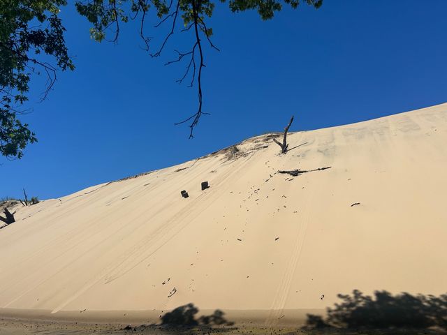 A long sand dune stretches up at Indiana Dunes National Park under blue skies.
