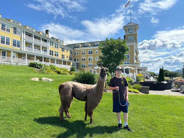 A teenage boy leads a llama on a leash at Mountain View Grand Resort & Spa.