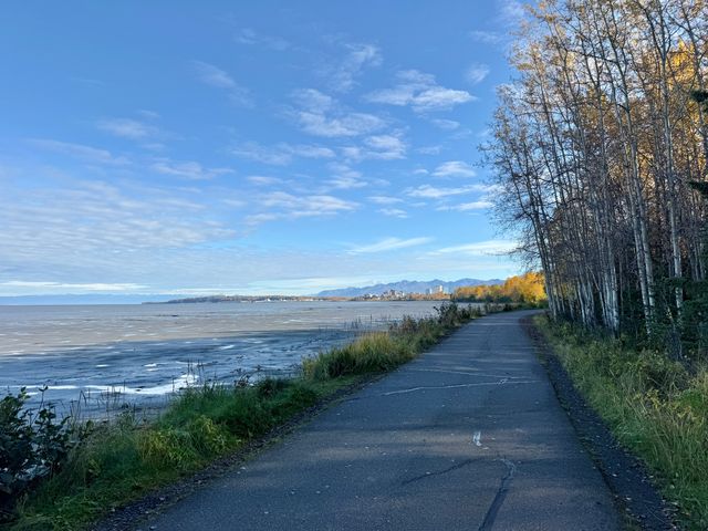A paved waterfront path on the Tony Knowles Coastal Trail with bare trees on one side and water on the other.