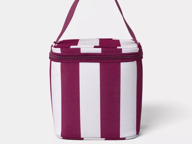 Sunsquad soft-side four-can cooler in maroon and white stripe