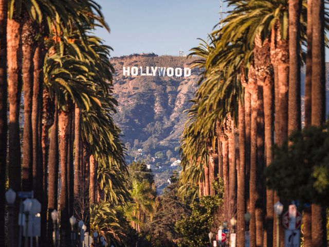 A view of the Hollywood sign as seen through rows of palm trees.