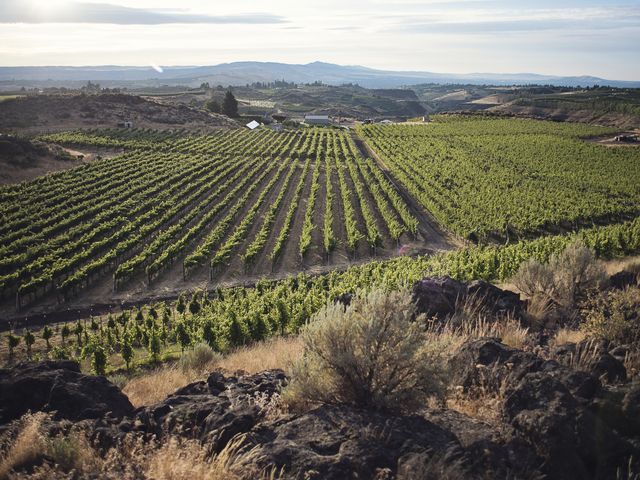 Scenic views of rolling vineyards and farmlands in Yakima Valley.