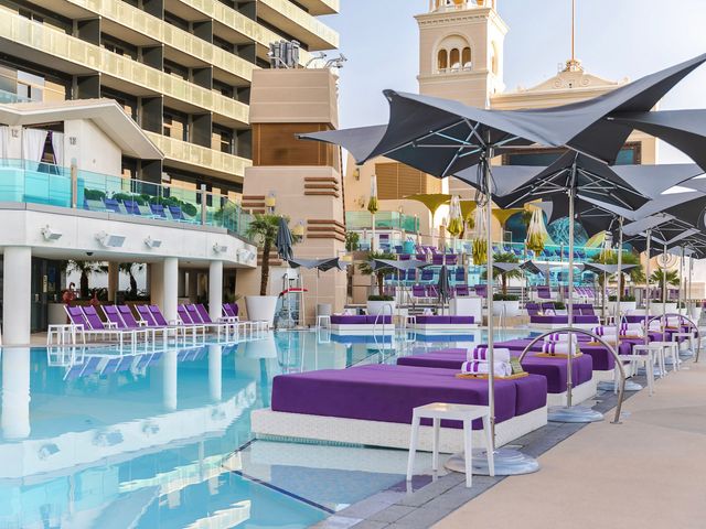Purple daybeds lining the pool at The Cosmopolitan.