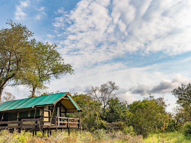 A cabin structure on stilts surrounded by brush and trees in South Africa.