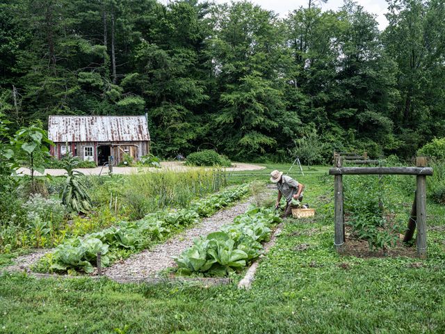 A farmer tending to rows of vegetables at Blackberry Farm with an old barn in back.
