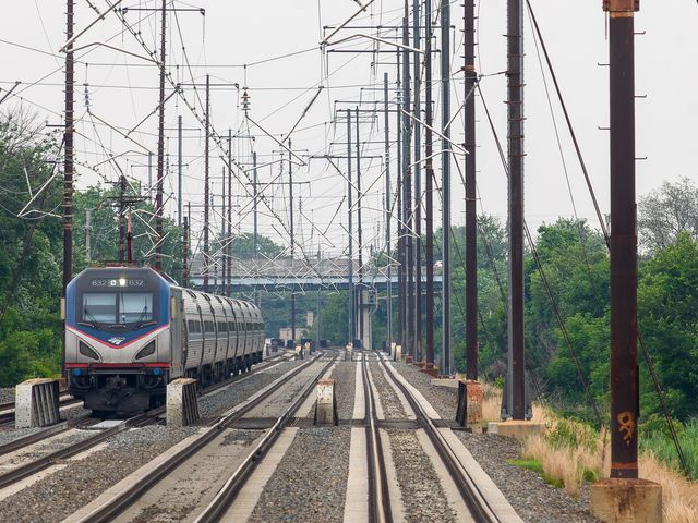 An Amtrak Northeast Regional train on the tracks next to green trees and electrical lines.