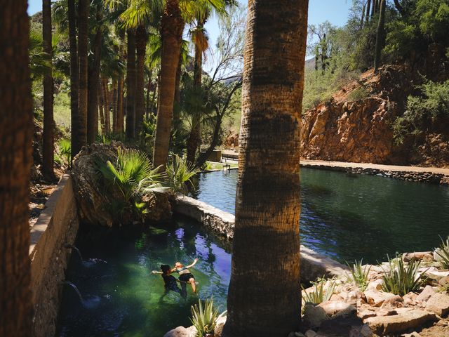 Someone floating in one of two hot spring pools surrounded by palm trees.
