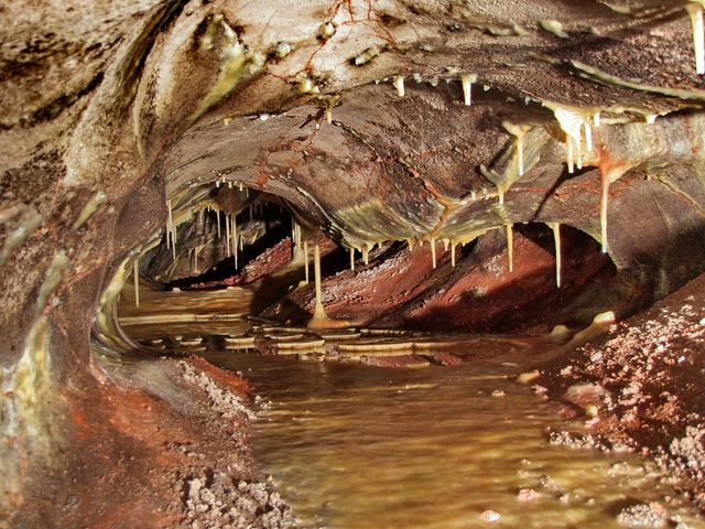 A river in a cave covered in stalactite formations at Wind Cave National Park.