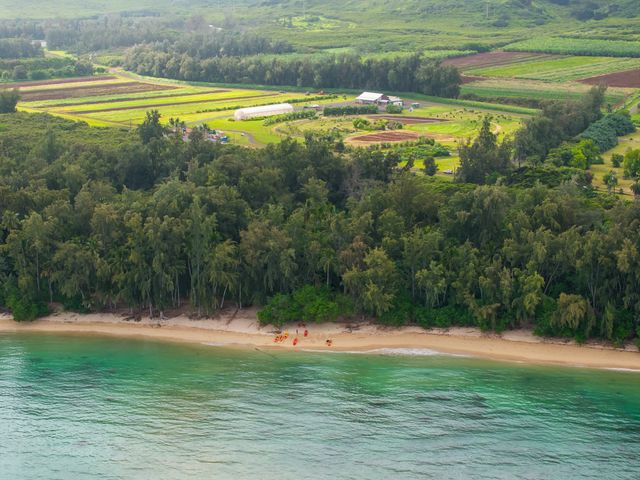 An aerial view of Kuilima Farm at The Ritz Carlton O‘ahu, Turtle Bay, as seen from the ocean with kayaks on the beach, separated by trees.