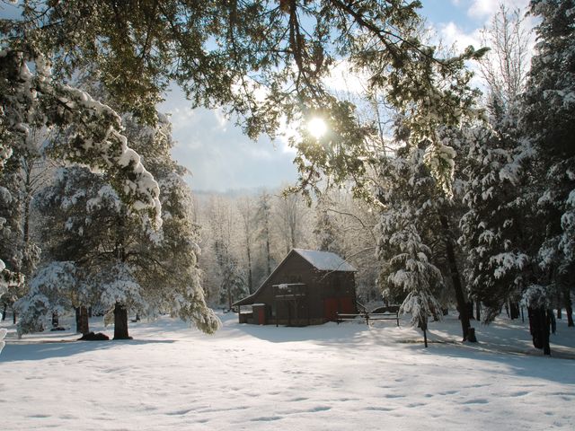 A cozy looking cabin seen through trees in a landscape covered with snow.