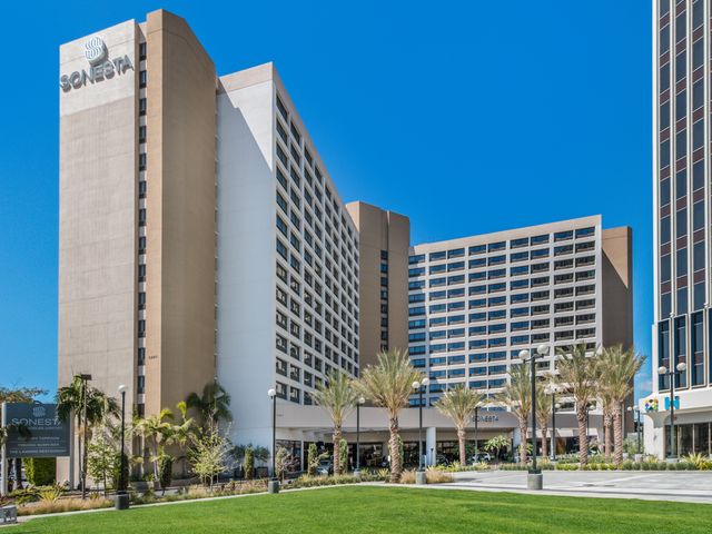 The exterior of a large Sonesta hotel with palm trees and green grass outside.