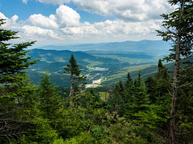 Looking over the greenery of Vermont from the top of Mount Mansfield in Stowe, surrounded by trees.