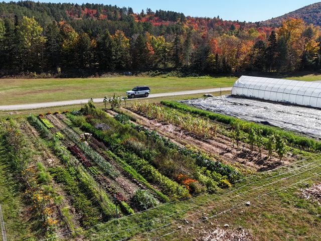 The farm at The Weston with lines of crops, a greenhouse, and a car driving on the road next to autumnal trees.