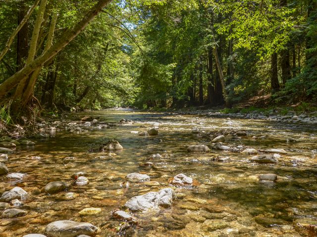 A Big Sur river flowing in Pfeiffer Big Sur State Park with lots of rocks and shallow water.