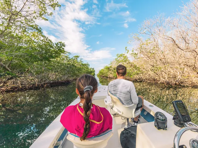 A view of two people from the back while on a boat in the Florida Everglades.