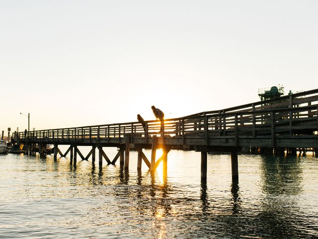 A beach pier in Peaks Island at sunset with two people looking over the side.