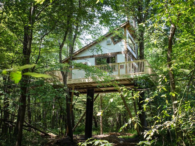 A woodsy-looking cabin with a slanted roof perched like a treehouse in the woods at The Mohicans.