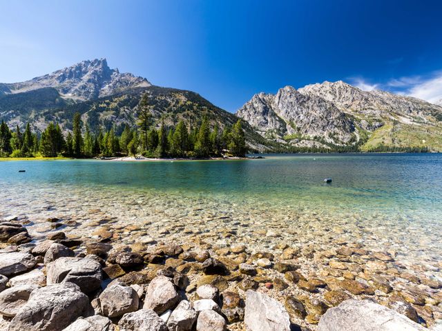 A lake with blue green water that's seen through to rocks at the shore framed by pine trees and the Grand Teton mountains.