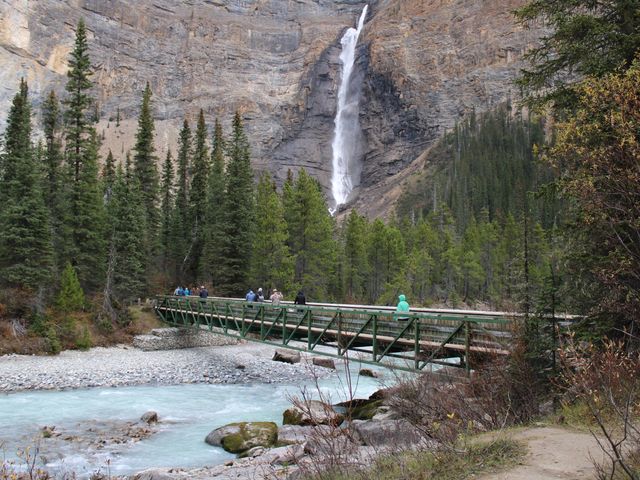 People cross a bridge in Yoho National Park next to alpine trees and a waterfall.