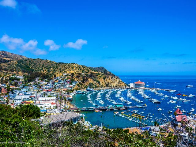 An aerial view of Catalina Island and the harbor town of Avalon.
