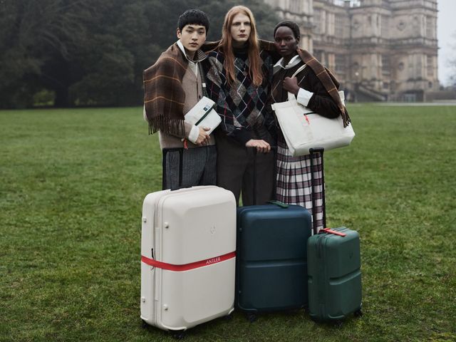 A group of three people stand on the grass in front of a castle with three suitcases of different sizes.