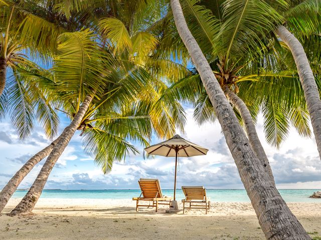 A remote tropical beach with two beach chairs and an umbrella with palm trees overhead.