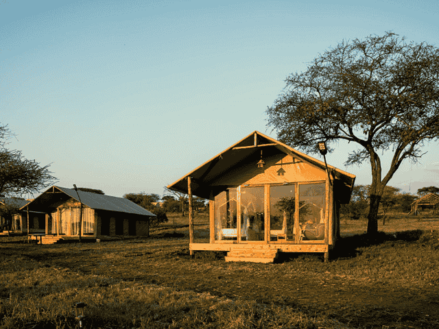 A line of cabin-style tents photographed at sunset next to trees on a grassy area in Tanzania.