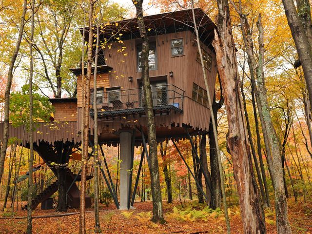 A brown wooden treehouse perched up on stilts next to trees with autumnal foliage.