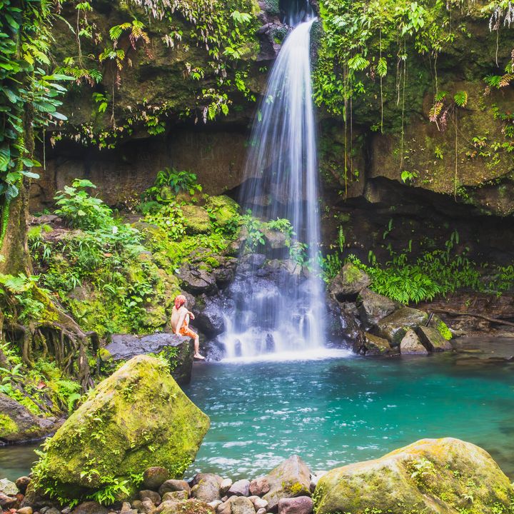 A swimmer sits on a rock overlooking the Emerald Pool swimming area and waterfall in Dominica.