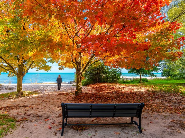A beautiful fall day with colorful trees peppering the shoreline of a nearby beach.