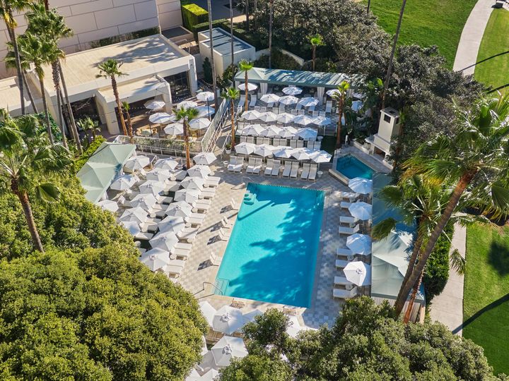 An overhead view of the pool at Pendry Newport Beach surrounded by lush green trees and white pool chairs and umbrellas.