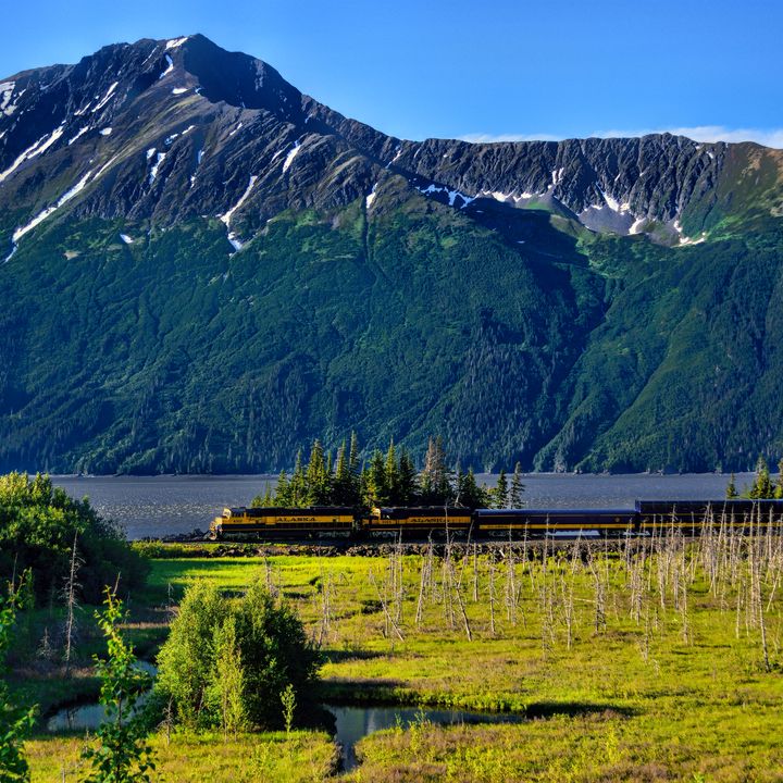 A train in Alaska surrounded by green fields, a river, and a snowcapped mountain