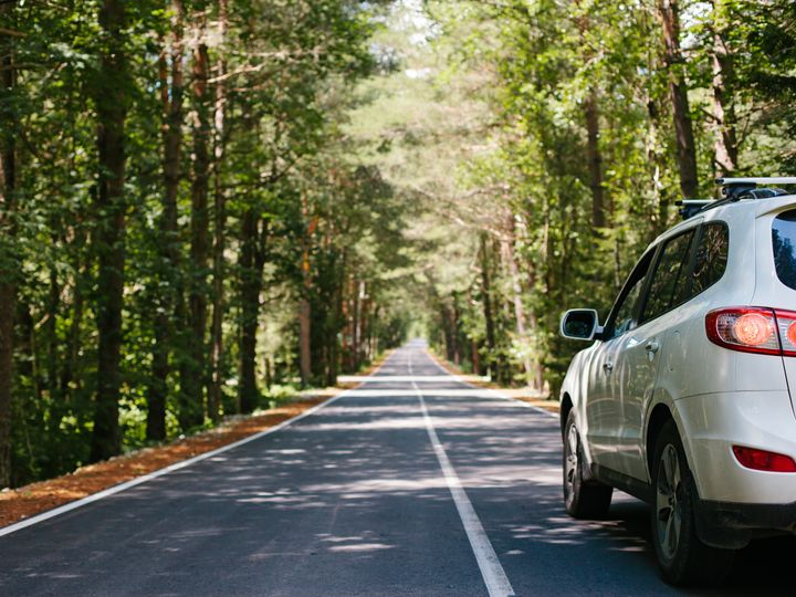 A white SUV car drives on an empty forest road with trees on both sides.
