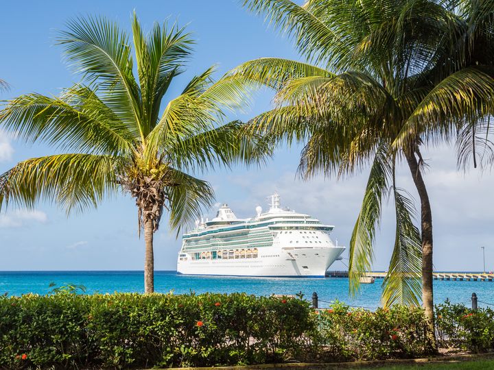 A cruise ship as seen through two palm trees and above a green hedge.