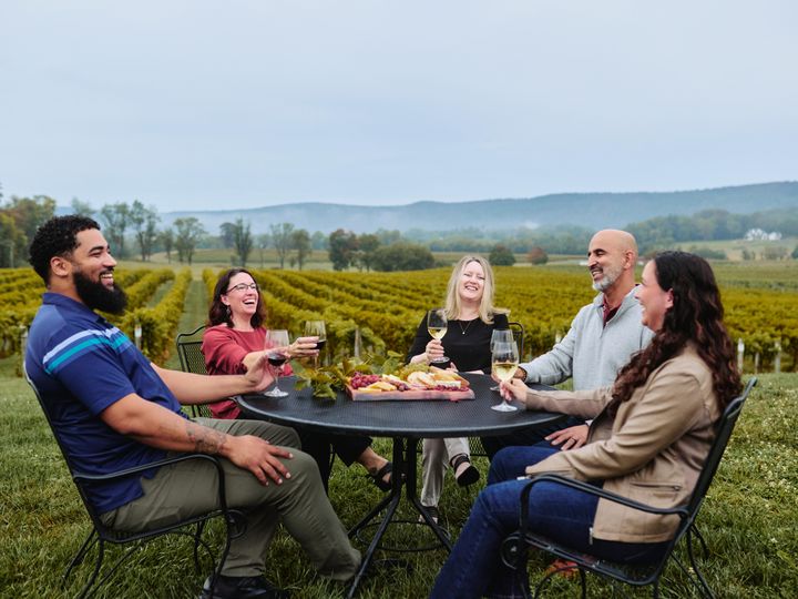 A group of friends sits around a circular table in a vineyard drinking glasses of wine with a charcuterie board and smiling.