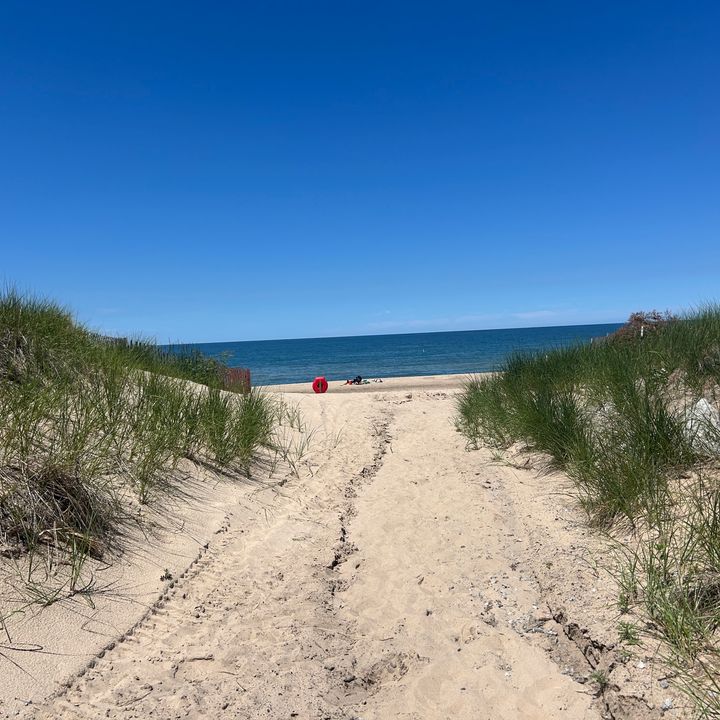 A sandy beach path leads to the ocean with grassy dunes on either side at Indiana Dunes National Park.