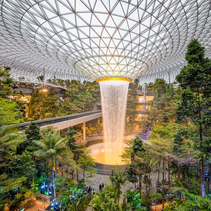 A waterfall cascades down from a structured ceiling surrounded by trees in a shopping area within Singapore’s Changi Airport.