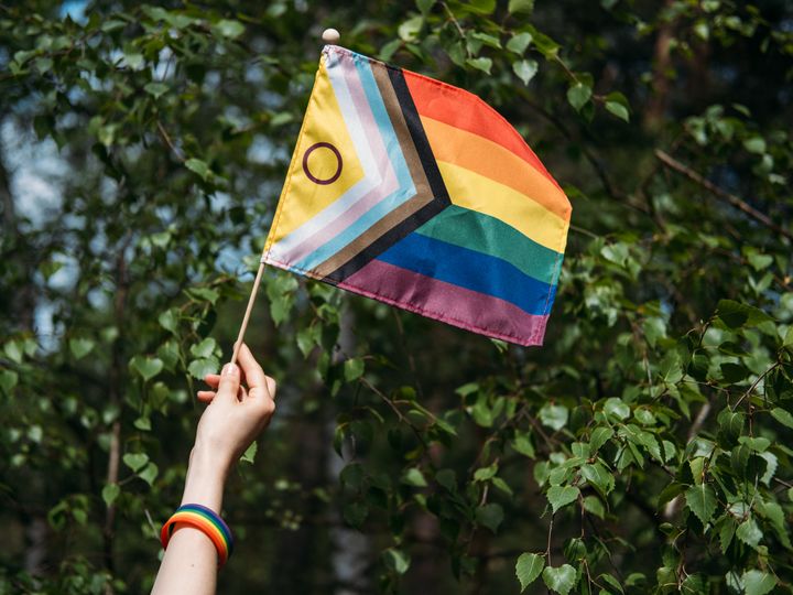 A hand holds up a pride flag against a background of green trees.