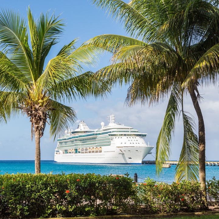 A cruise ship as seen through two palm trees and above a green hedge.