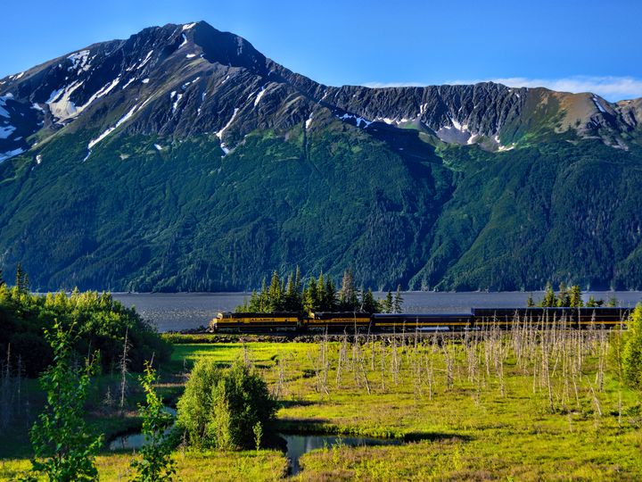 A train in Alaska surrounded by green fields, a river, and a snowcapped mountain