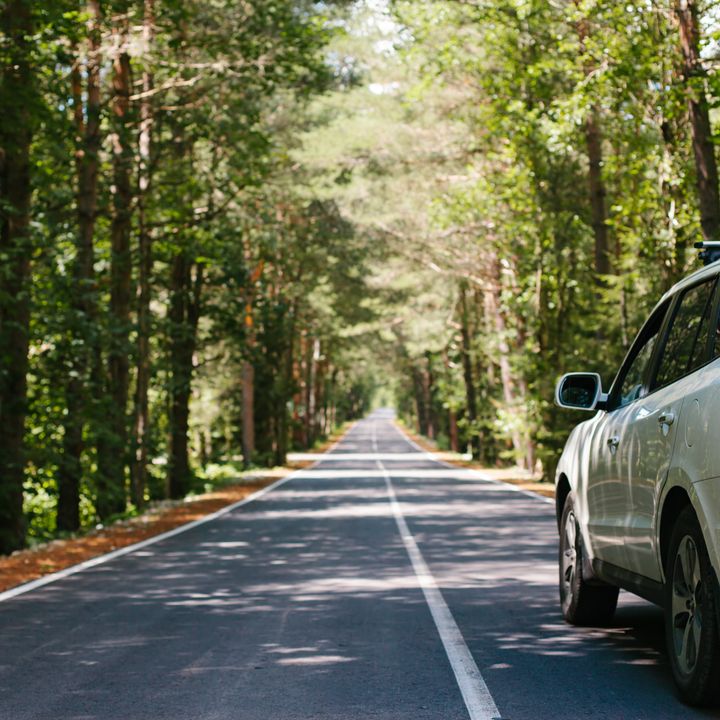 A white SUV car drives on an empty forest road with trees on both sides.